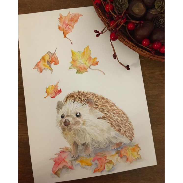 Impression Illustration Herisson Mignon